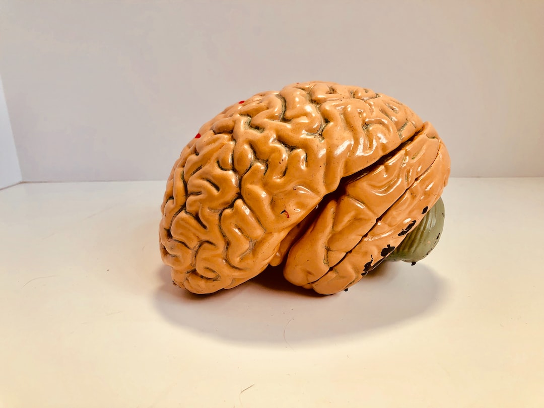 Quels sont les effets du CBD sur le cerveau ?