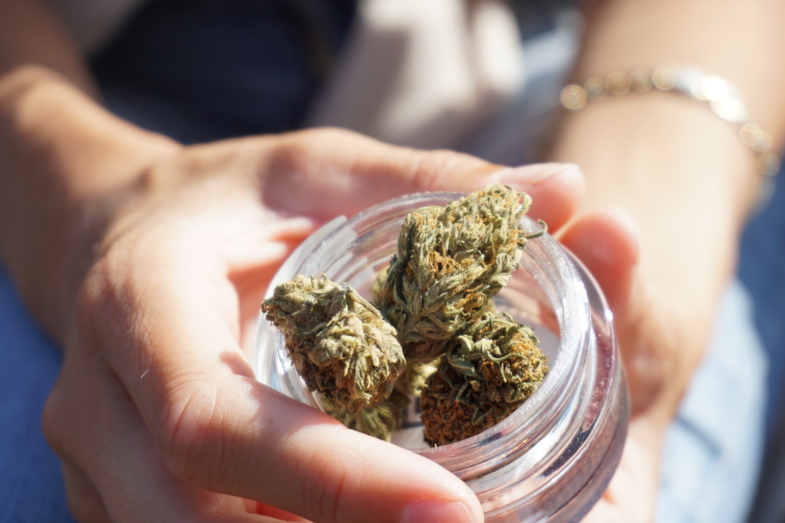 Fleurs de cbd pas cher : Où trouver des fleurs de cbd au juste prix ?