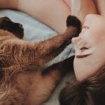 Comment le cannabidiol pour chat améliore-t-il le bien-être de votre félin ?