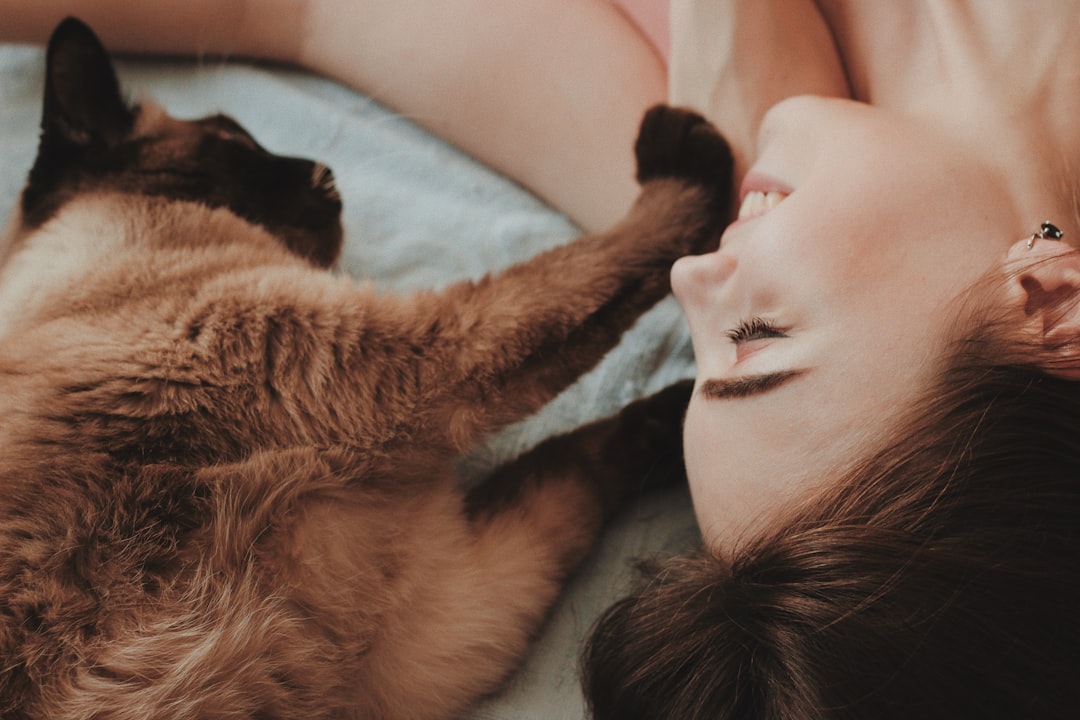 Comment le cannabidiol pour chat améliore-t-il le bien-être de votre félin ?