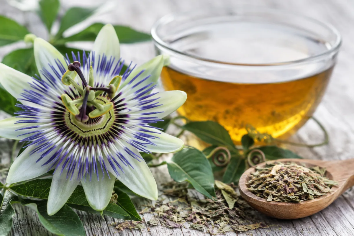 Bienfaits de la passiflore : action sur le sommeil et le stress Gros plan détaillé sur la structure violette et blanche d'une fleur de passiflore fraîche